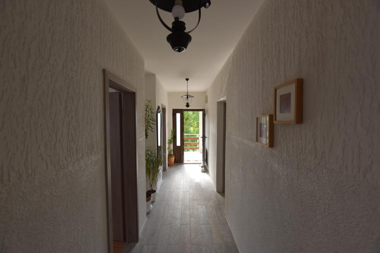 Apartments Frkovic Ledenice Esterno foto