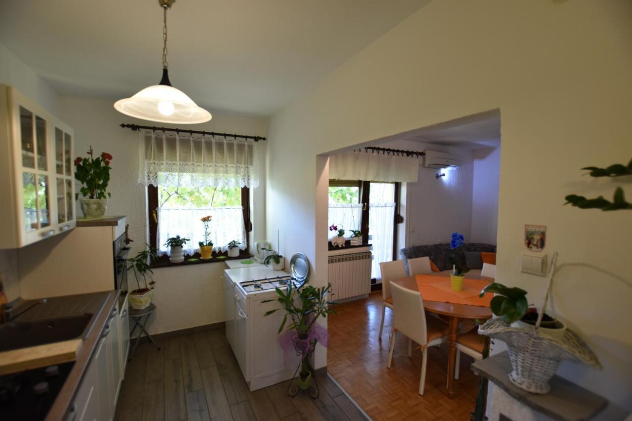 Apartments Frkovic Ledenice Esterno foto
