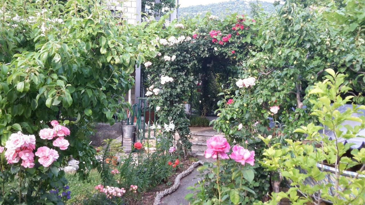 Apartments Frkovic Ledenice Esterno foto