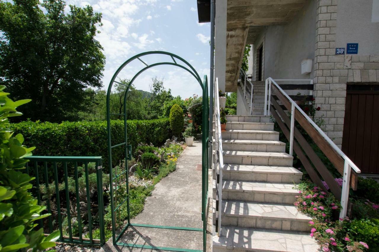 Apartments Frkovic Ledenice Esterno foto