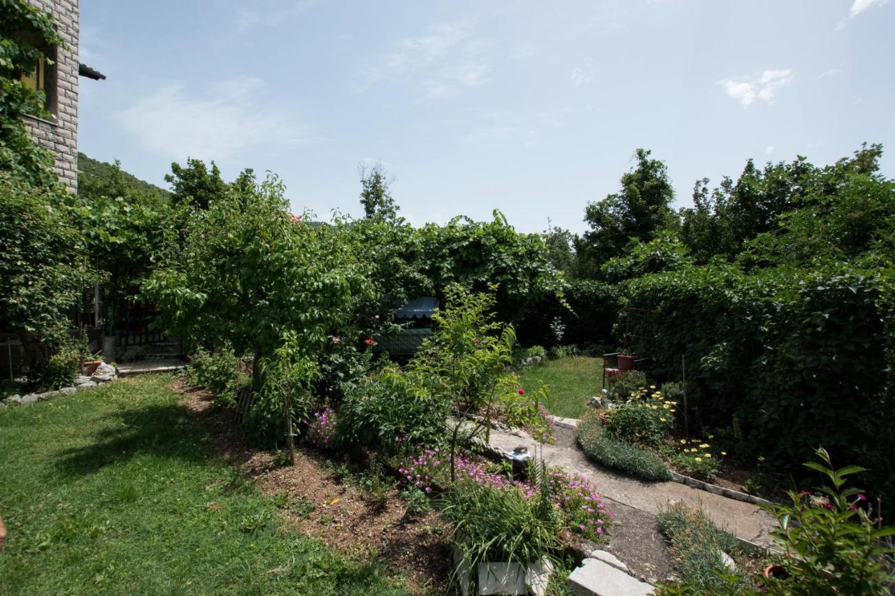 Apartments Frkovic Ledenice Esterno foto